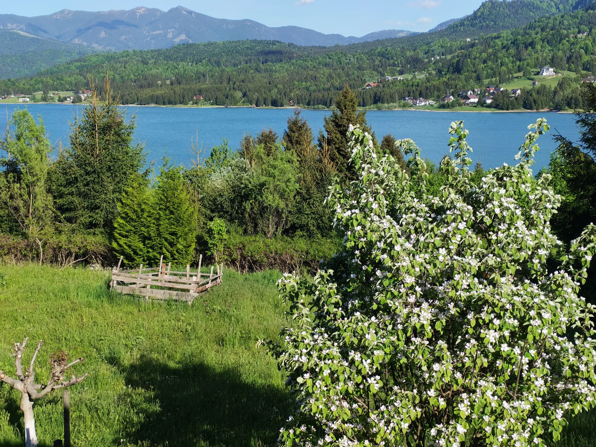Lacul Colibița și peisaj montan verde