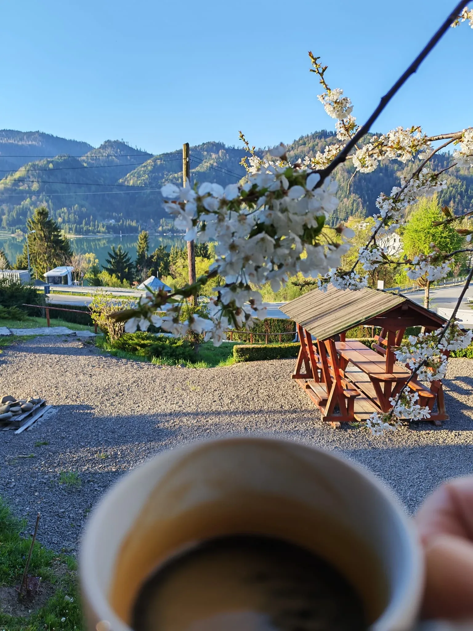 Cafea și vedere spre lac la Pensiunea Ariniș